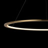 Подвесной светильник LOFT IT 10014L RING