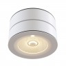 Потолочный светильник Maytoni Treviso C023CL-L20W4K