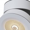 Потолочный светильник Maytoni Treviso C023CL-L20W4K