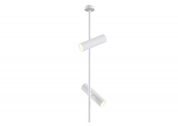 Потолочный светильник Maytoni C021CL-02W Elti