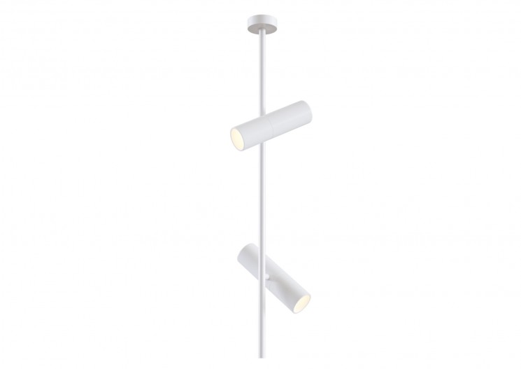 Потолочный светильник Maytoni C021CL-02W Elti