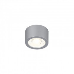 Накладной светильник Favourite 2808-1U Deorsum