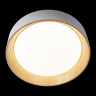 Накладной светильник LOFT IT 10202 White Coin