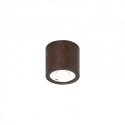 Накладной светильник Favourite 2809-1C Deorsum