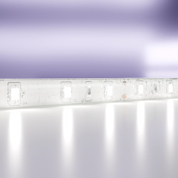 Светодиодная лента Maytoni Technical(Led Strip) 24В 2835 4,8Вт/м 6000K 5м IP65 10141