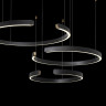 Подвесной светильник LOFT IT 10025/3 Black RING