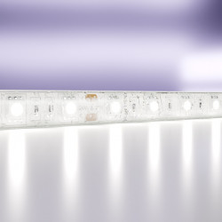 Светодиодная лента Maytoni(Led Strip) Technical  24В 5050 14,4Вт/м 6000K 5м IP65 10173