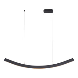 Светильник подвесной ST Luce Черный/Черный LED 1*20W 4000K         SL6232.403.01