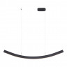 Светильник подвесной ST Luce Черный/Черный LED 1*20W 4000K         SL6232.403.01