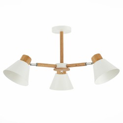 Люстра потолочная Evoluce BUVE SLE103702-03