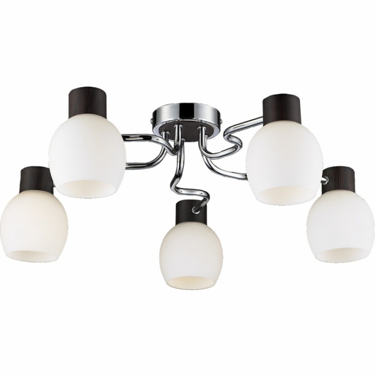 Люстра Lussole LSC-8503-05