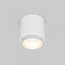 Накладной светильник Elektrostandard Cors 10W (25032/LED) белый/серебро Cors