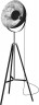 Торшер Zumaline ANTENNE TS-090522F-BKSI