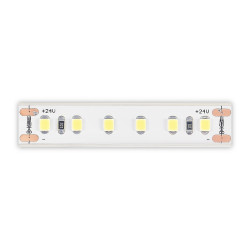 Светодиодная лента ST LUCE  ST1001.414.65