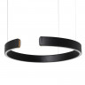 Подвесной светильник LOFT IT 10025/400 Black RING