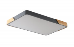 Светильник потолочный ZORTES   ALBERRO  ZRS.01277.60