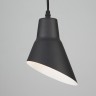 Подвесной светильник Eurosvet 50069/1 черный Nook