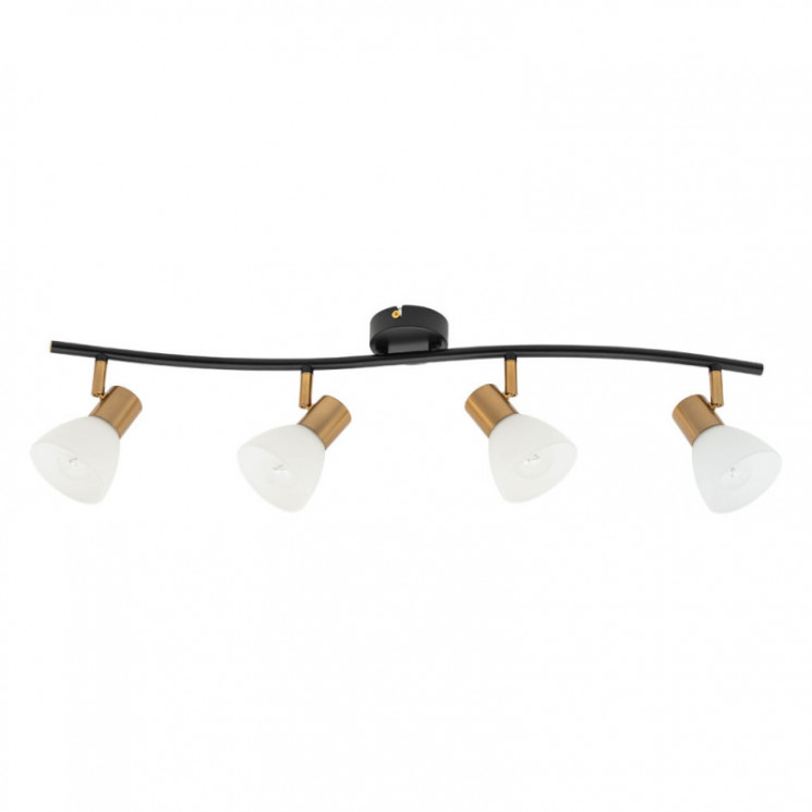 Спот ARTE Lamp A3117PL-4BK FALENA