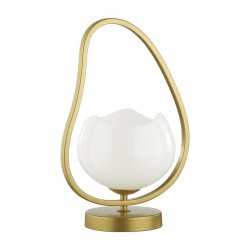 Настольная лампа Odeon Light MODERN 4873/1T