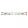 Светодиодная лента Maytoni(Led Strip) Technical  24В 5050 19,2Вт/м RGBW 6000K 5м IP20 10181
