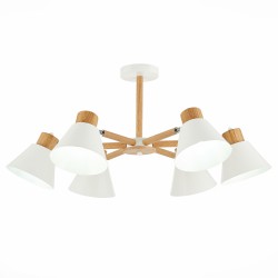 Люстра потолочная Evoluce BUVE SLE103702-06