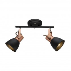 Светильник потолочный Arte lamp A1677PL-2BK JOVI