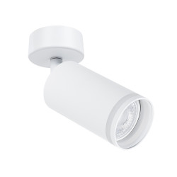 Светильник точечный накладной Arte Lamp IMAI A2365PL-1WH