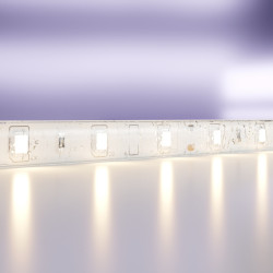 Светодиодная лента Maytoni Technical(Led Strip) 12В 2835 4,8Вт/м 3000K 5м IP65 10105