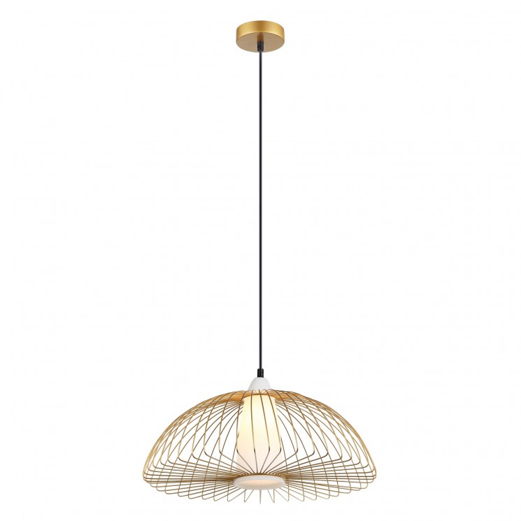 Подвесной светильник Favourite 2372-1P Dimidium