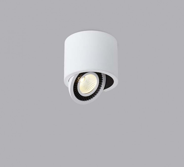 Накладной потолочный светильник Donolux DL18700/11WW-White Диммируемый