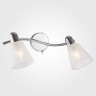 Светильник настенный Eurosvet Organic 20053/2 хром