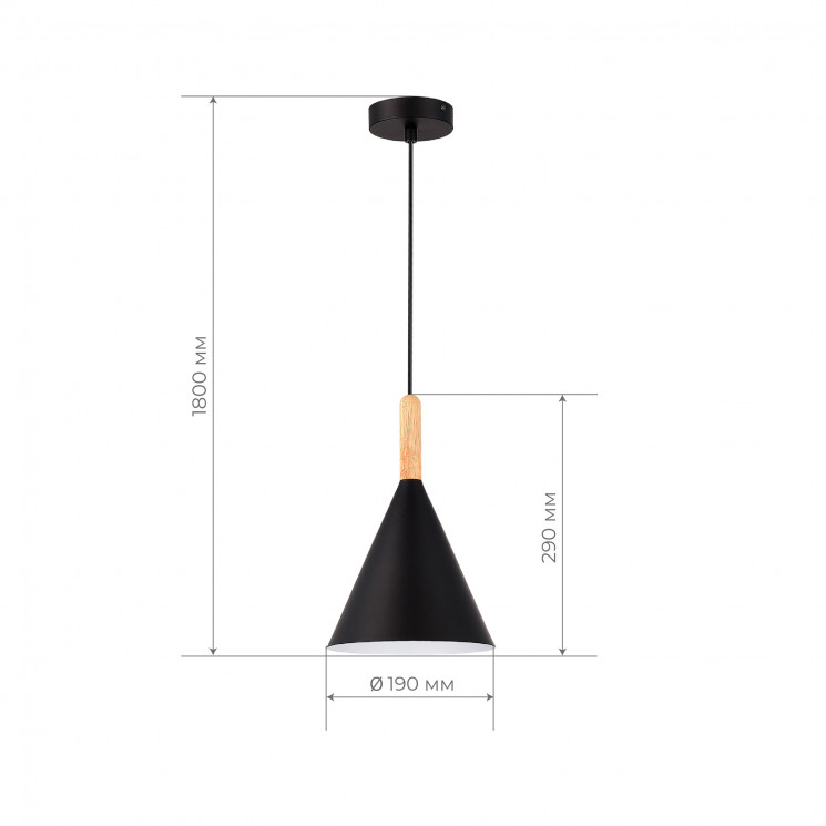 Светильник подвесной EVOLUCE Черный/Черный E27 1*40W           SLE1255-403-01
