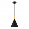Светильник подвесной EVOLUCE Черный/Черный E27 1*40W           SLE1255-403-01