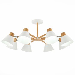 Люстра потолочная Evoluce BUVE SLE103702-08