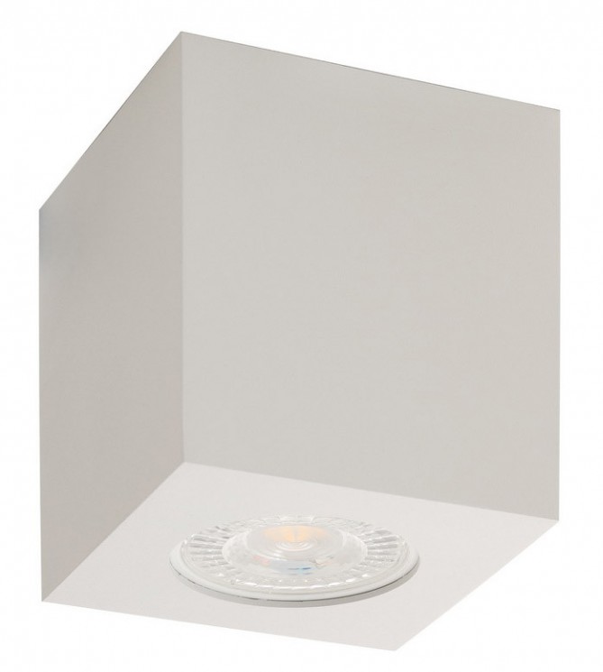 Накладной светильник Denkirs DK3010-WH