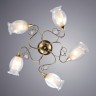 Светильник потолочный Arte lamp MUGHETTO A9289PL-5GO