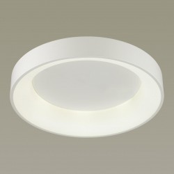 Светильник потолочный Odeon light 4066/40CL SOLE