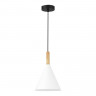 Светильник подвесной EVOLUCE Черный/Белый E27 1*40W           SLE1255-413-01