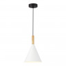 Светильник подвесной EVOLUCE Черный/Белый E27 1*40W           SLE1255-413-01