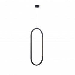 Подвесной светильник Favourite 4009-2P Castled