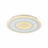 Накладной светильник F-Promo 2273-5C Ledolution