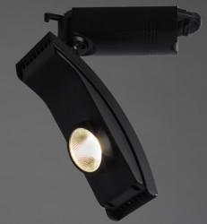 Светильник спот Arte Lamp A2120PL-1BK