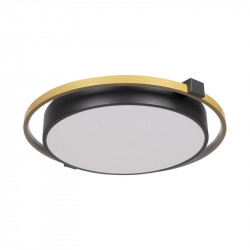 Накладной светильник LOFT IT 10170 Mike