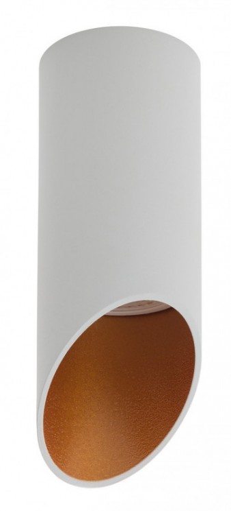 Накладной светильник Denkirs DK2011-WH