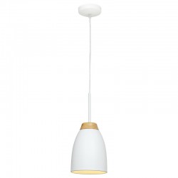 Подвесной светильник LOFT IT LOFT4402A-WH