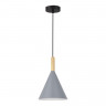 Светильник подвесной EVOLUCE Черный/Серый E27 1*40W           SLE1255-423-01