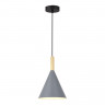 Светильник подвесной EVOLUCE Черный/Серый E27 1*40W           SLE1255-423-01