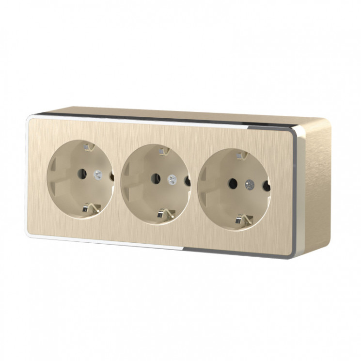 Розетка Werkel W5073110