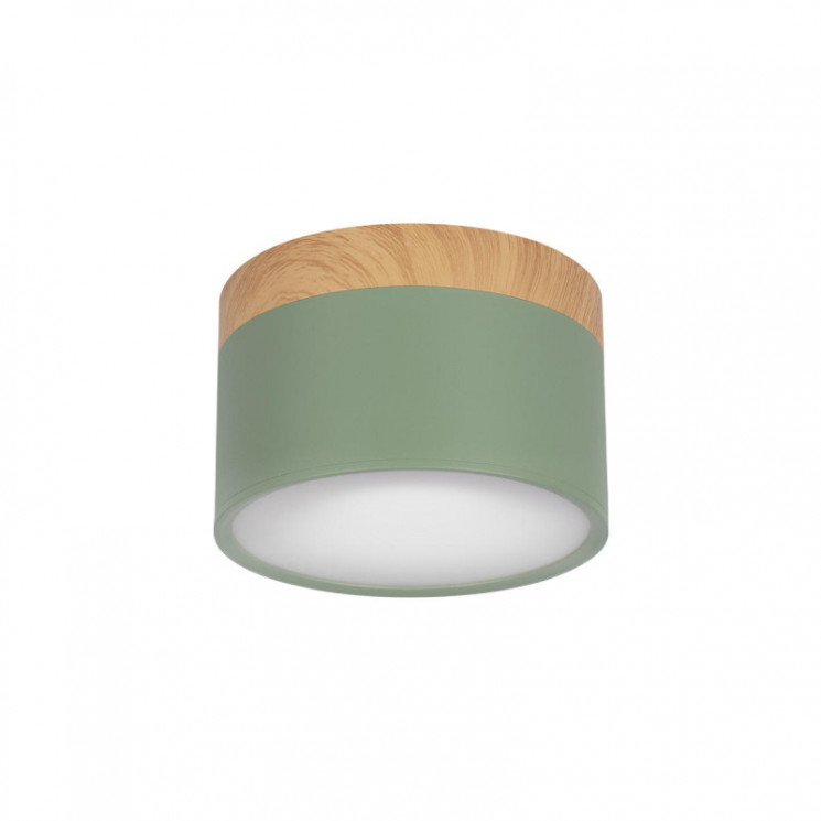 Детский точечный светильник LOFT IT 10162 Green Grape