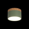 Детский точечный светильник LOFT IT 10162 Green Grape